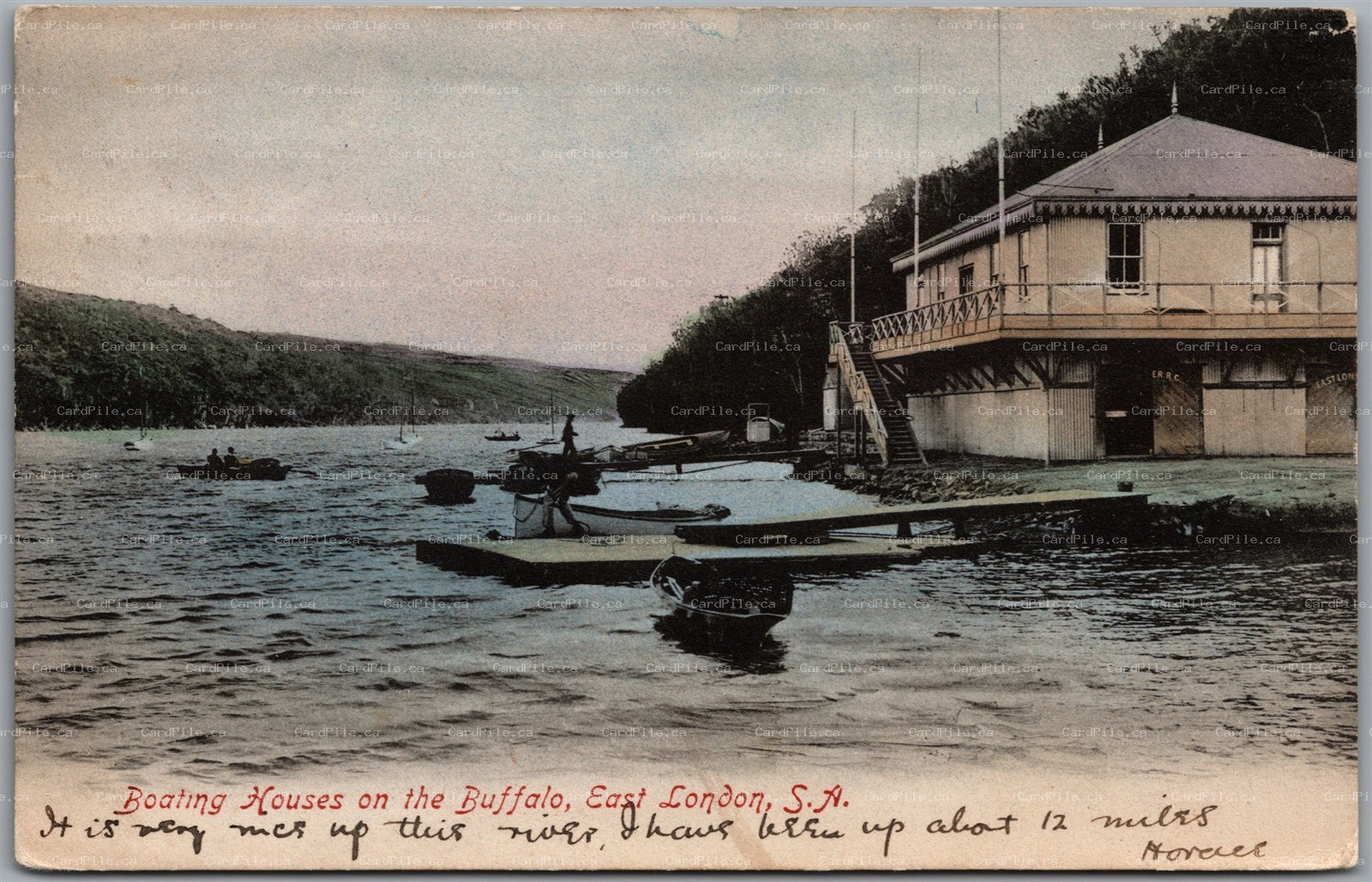 Postcard East London Eastern Cape South Africa 1905 Boating Houses Buffalo River