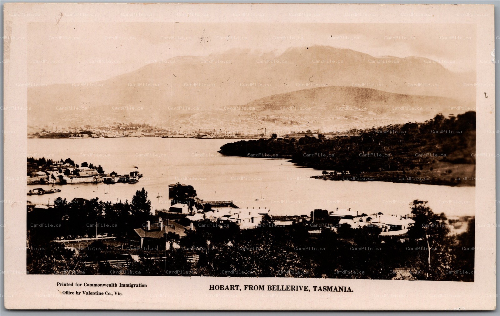Postcard RPPc c1925 Hobart Tasmania Australia View of Hobart from Bellerive