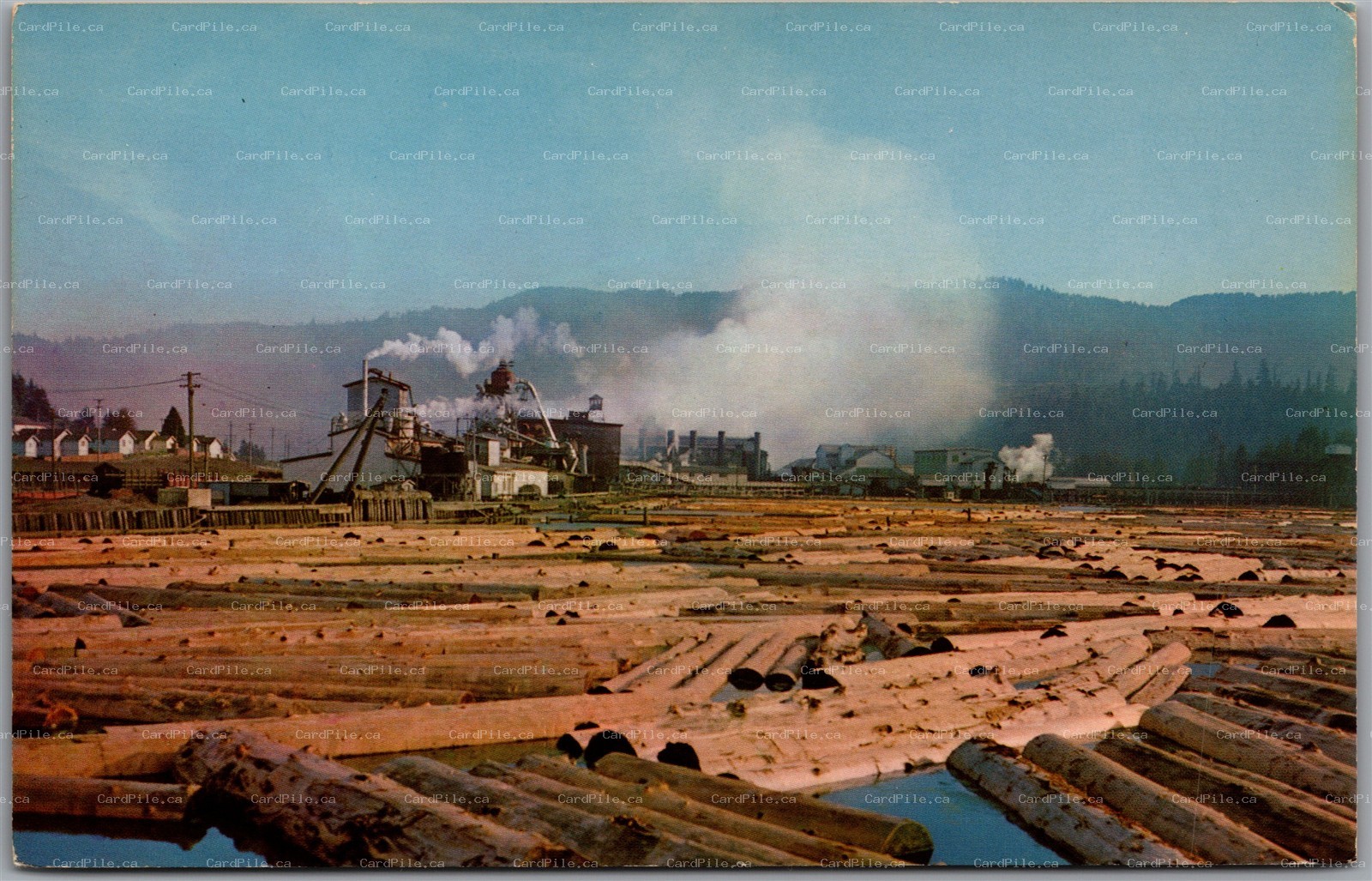 Postcard Scotia California Redwood Lumber Mill Humboldt County