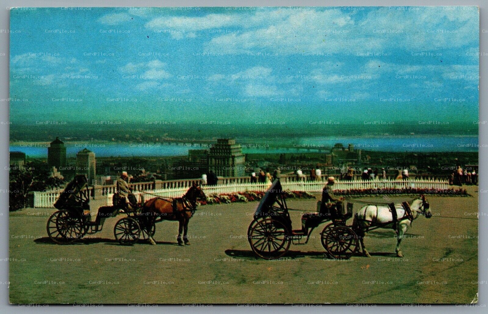 Postcard Montreal PQ c1960s Old French Horsedrawn Carriages on Mount Royal