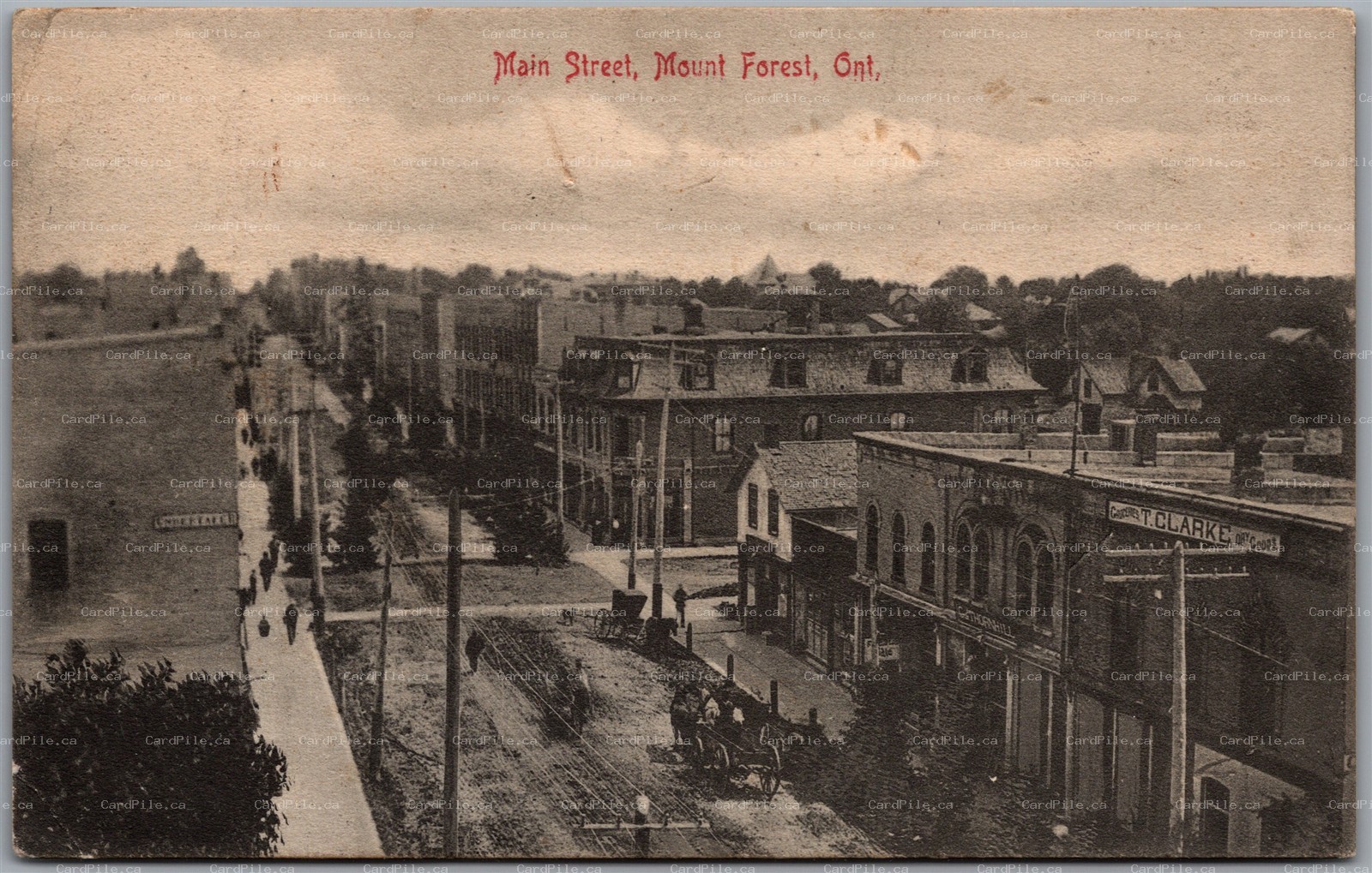 Postcard Mount Forest Ontario c1910s Main Street Stores Wellington County