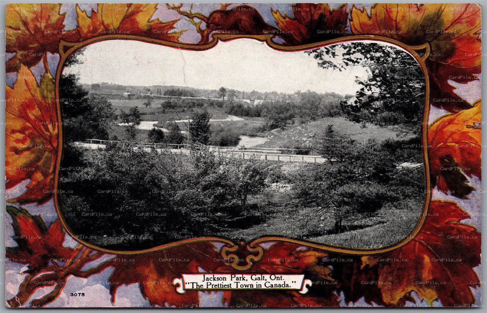 Postcard Galt Ontario c1907 Jackson Park Patriotic Border by Warwick