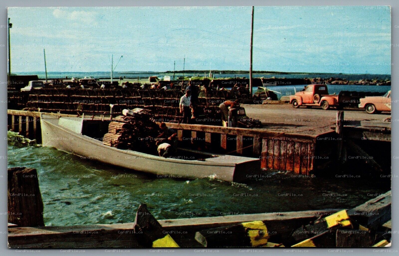 Postcard Moncton NB c1960s Lobster Season Fisherman Prepare Lobster Traps Truck