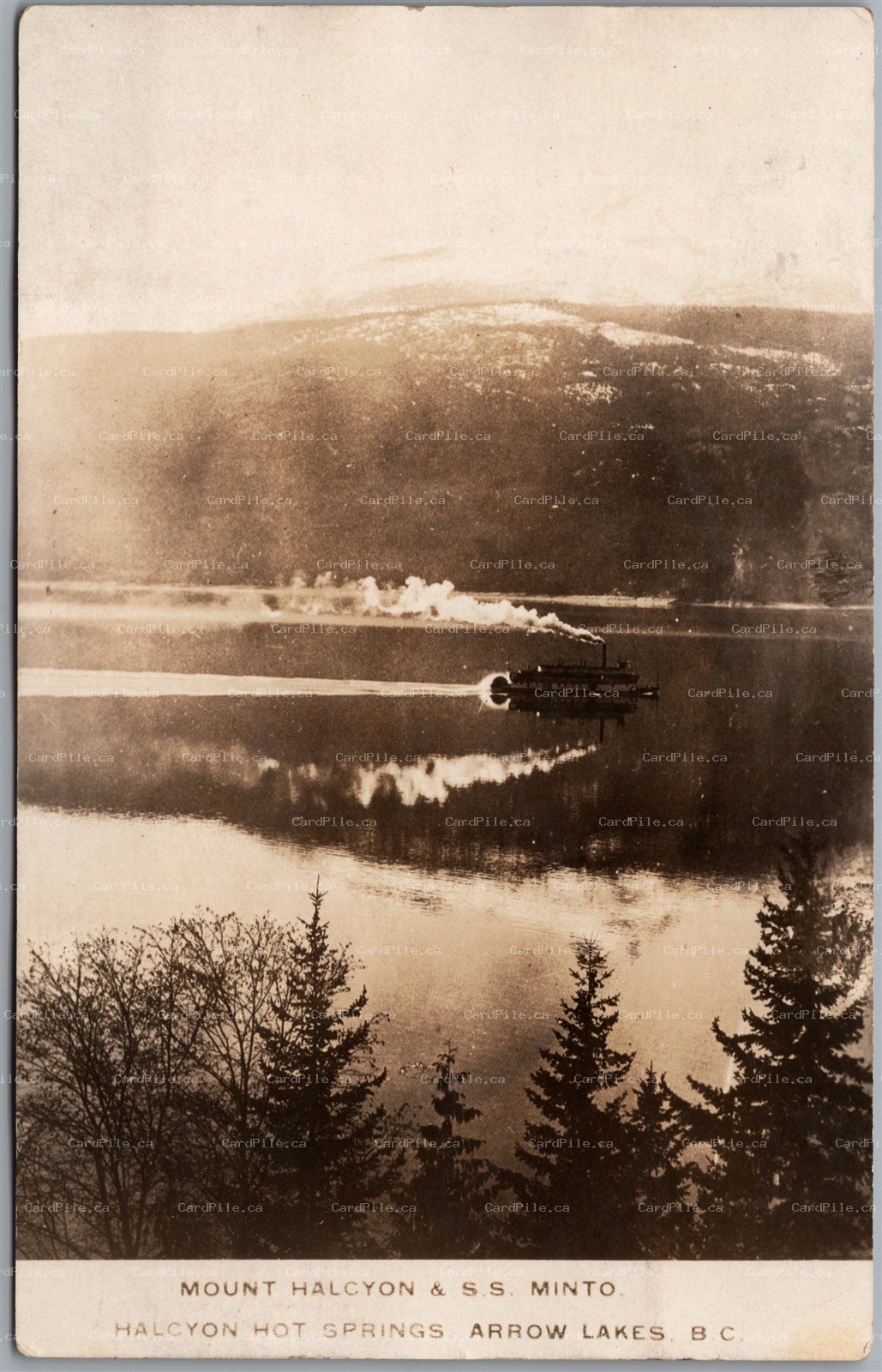 Postcard RPPC Arrow Lakes British Columbia Mount Halycon Hot Springs S.S. Minto