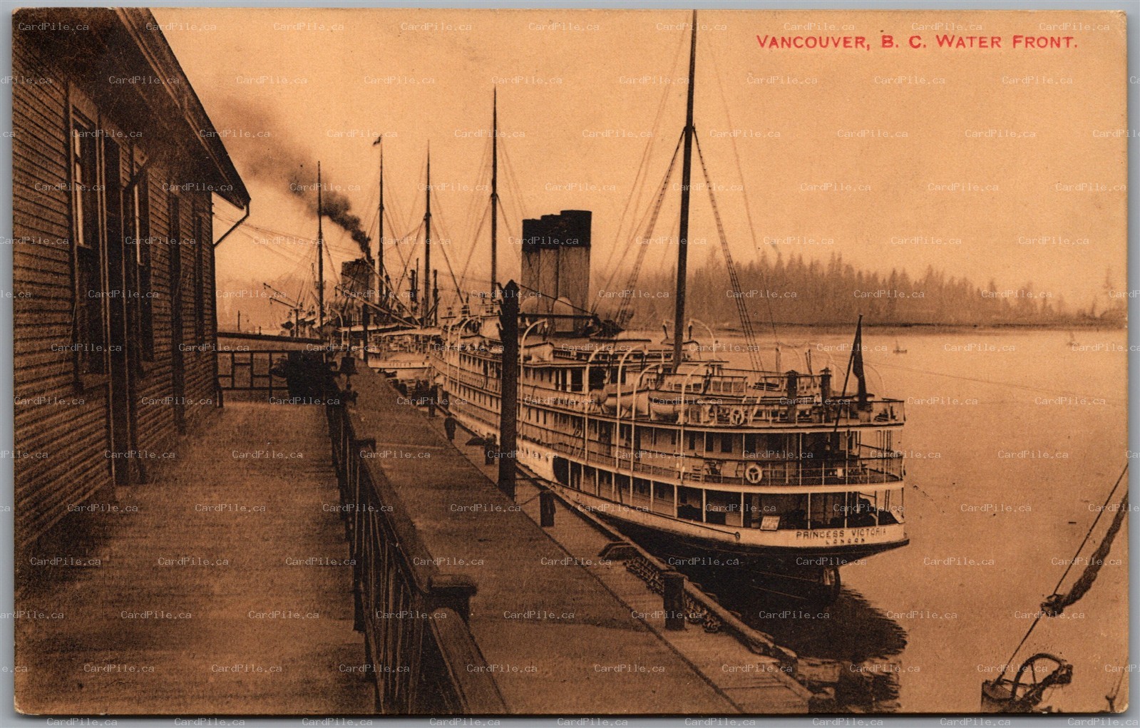 Postcard Vancouver British Columbia Water Front Ferries Princess Victoria