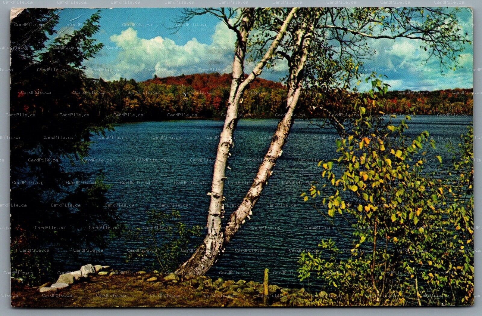 Postcard Battleford SK c1964 Greetings From North Battleford Saskatchewan 