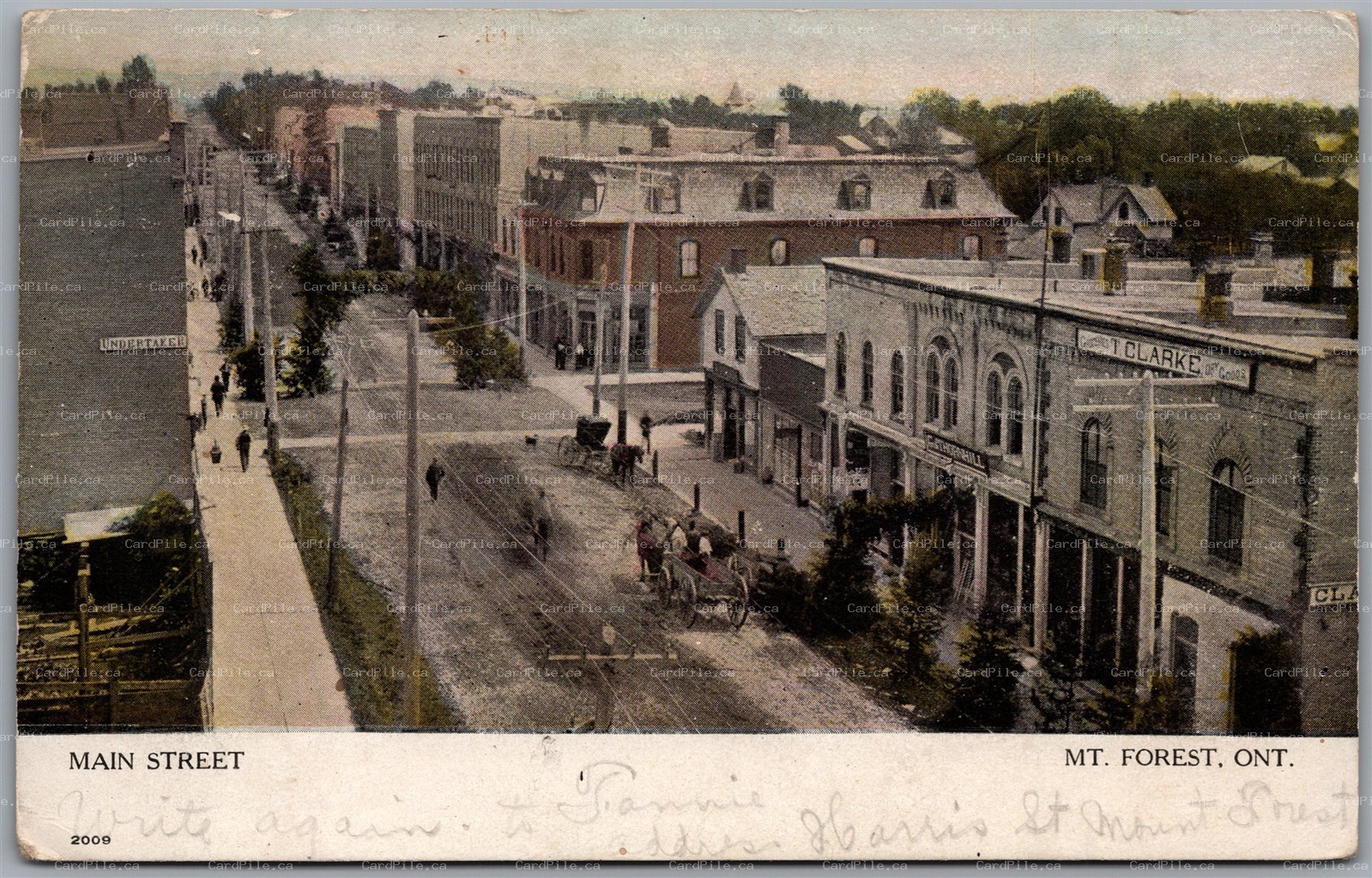 Postcard Mount Forest Ontario c1908 Main Street Wellington County by Warwick