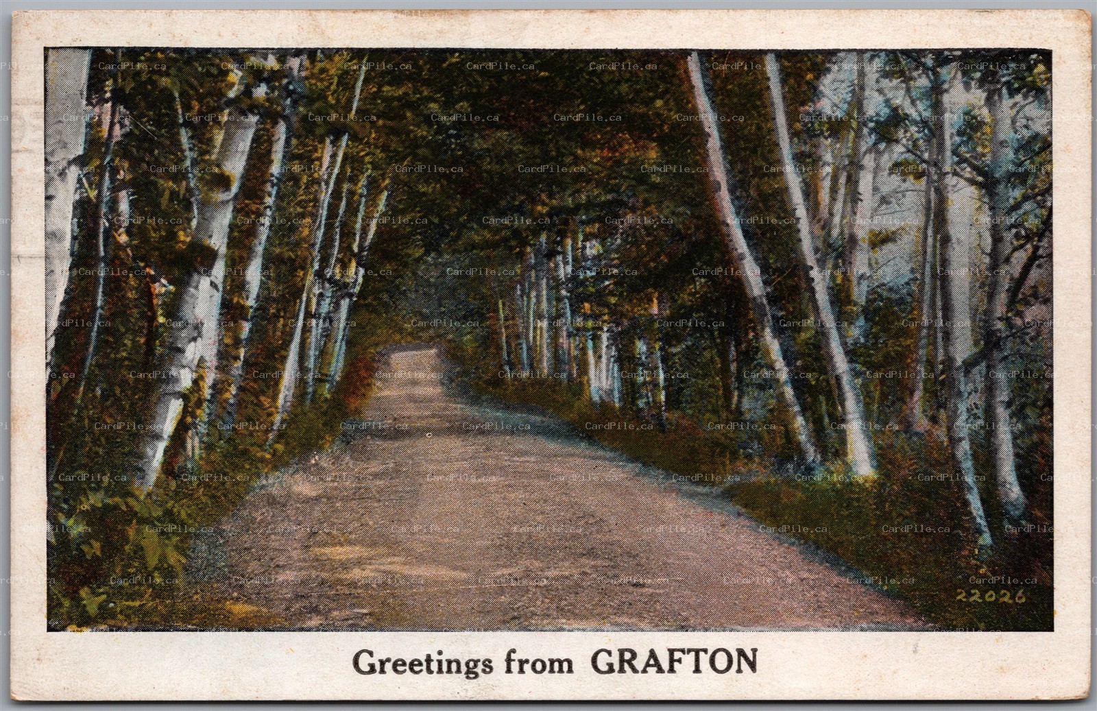Postcard c1930 Greetings from Grafton Ontario Scenic View 