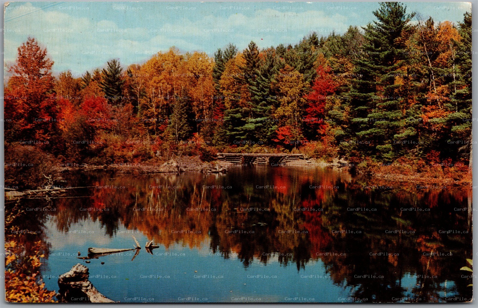 Postcard Arden Ontario c1962 Greetings from Camp Frontenac RR1 Scenic View