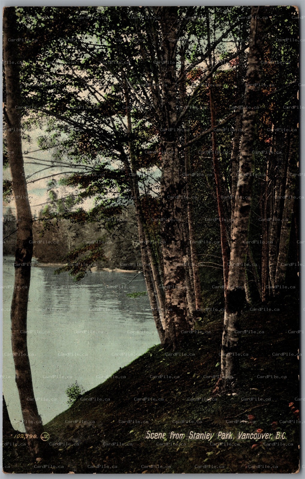 Postcard Vancouver British Columbia c1910s Scene from Stanley Park