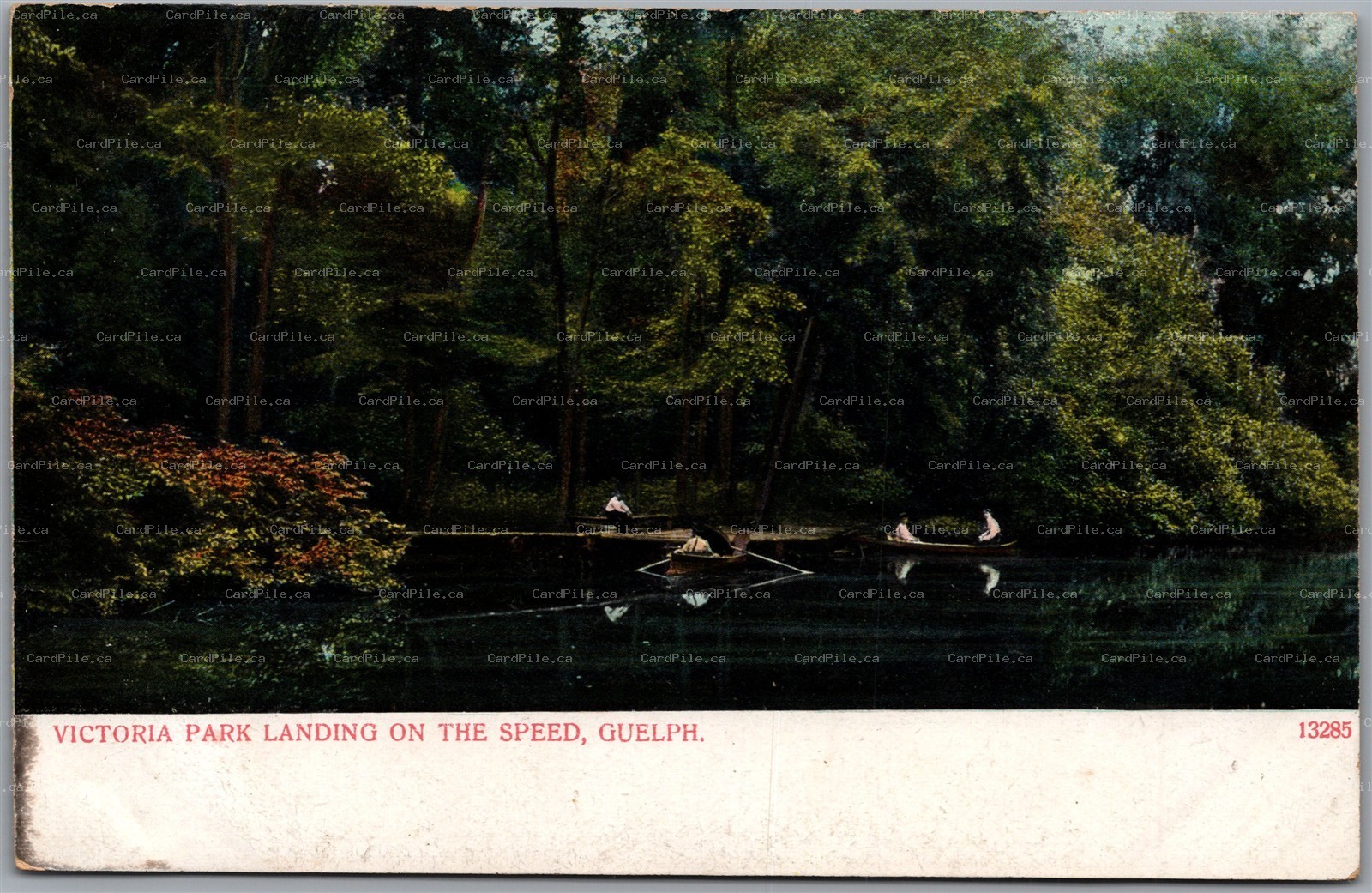 Postcard Guelph Ontario c1910s Victoria Park Landong on the Speed Scenic View