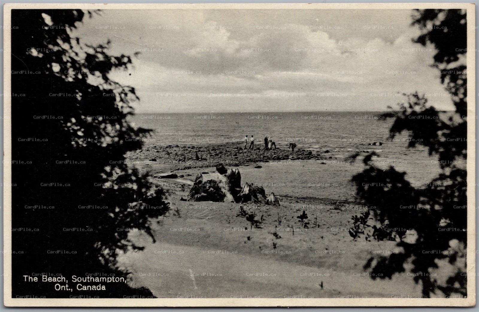 Postcard Southampton Ontario c1920s The Beach Scenic View Bruce County by Evans