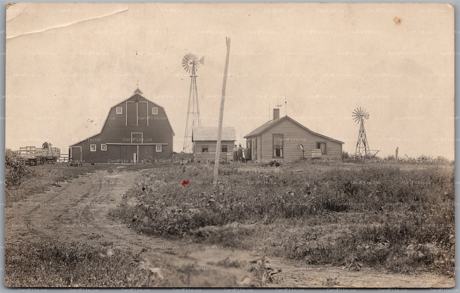 RPPC c1910s North America Rural Prairie Farm Gambrel Barn Windmills Farmstead