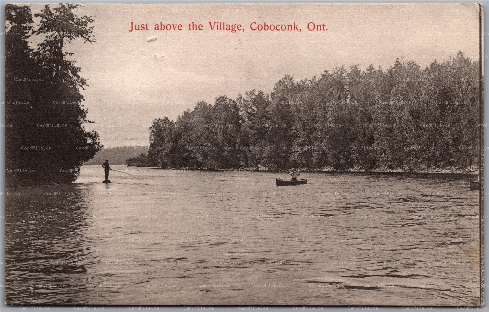 Postcard Coboconk Ontario c1907 Just above the Village Scenic View Victoria Co.
