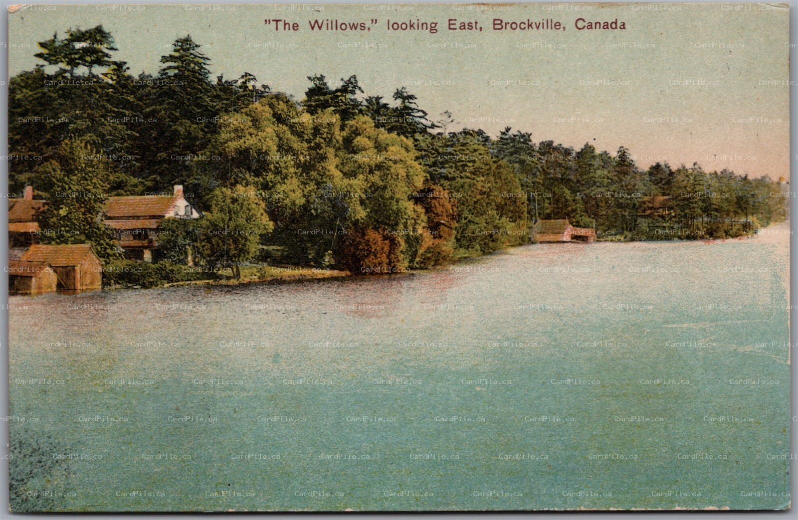 Postcard Brockville Ontario c1910s The Willows Looking East Leeds Grenville