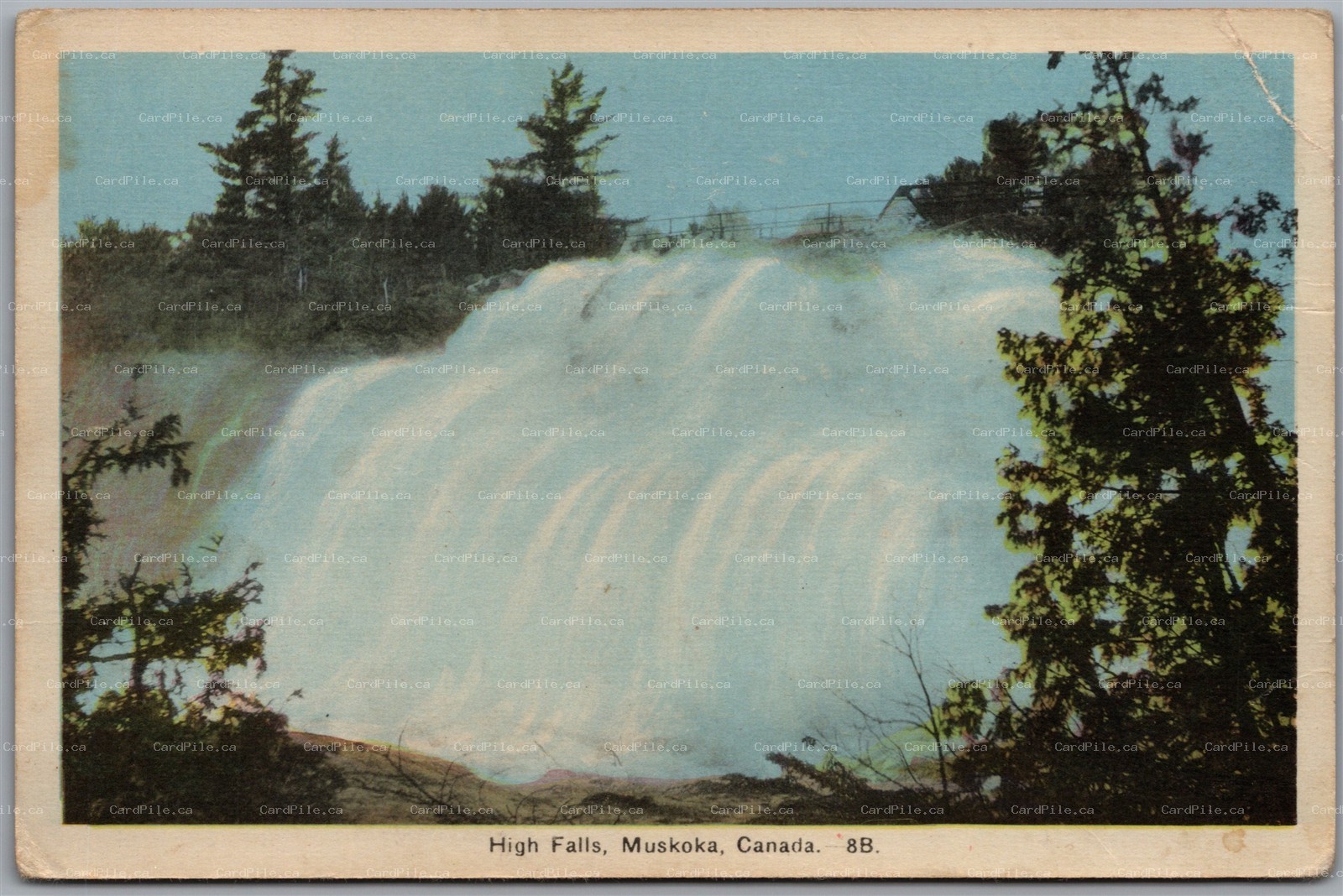 Postcard Muskoka Ontario Bracebridge Pott