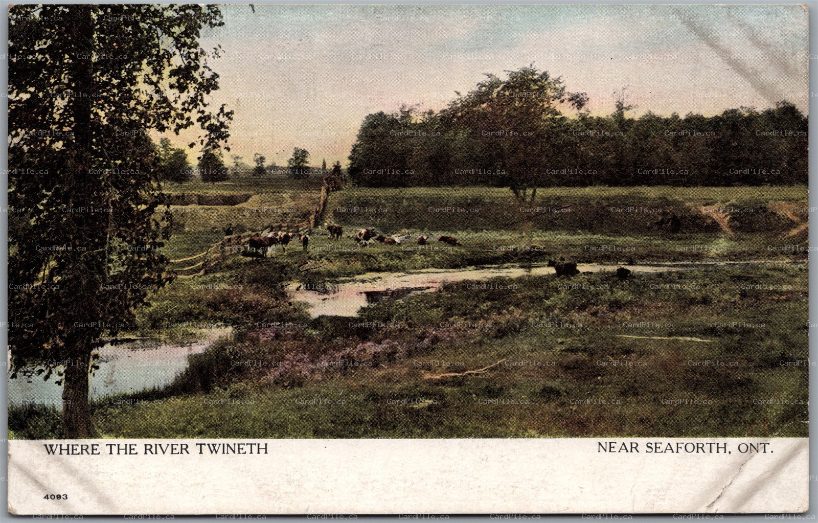 Postcard Seaforth Ontario c1915 Where the River Twineth Huron County by Warwick