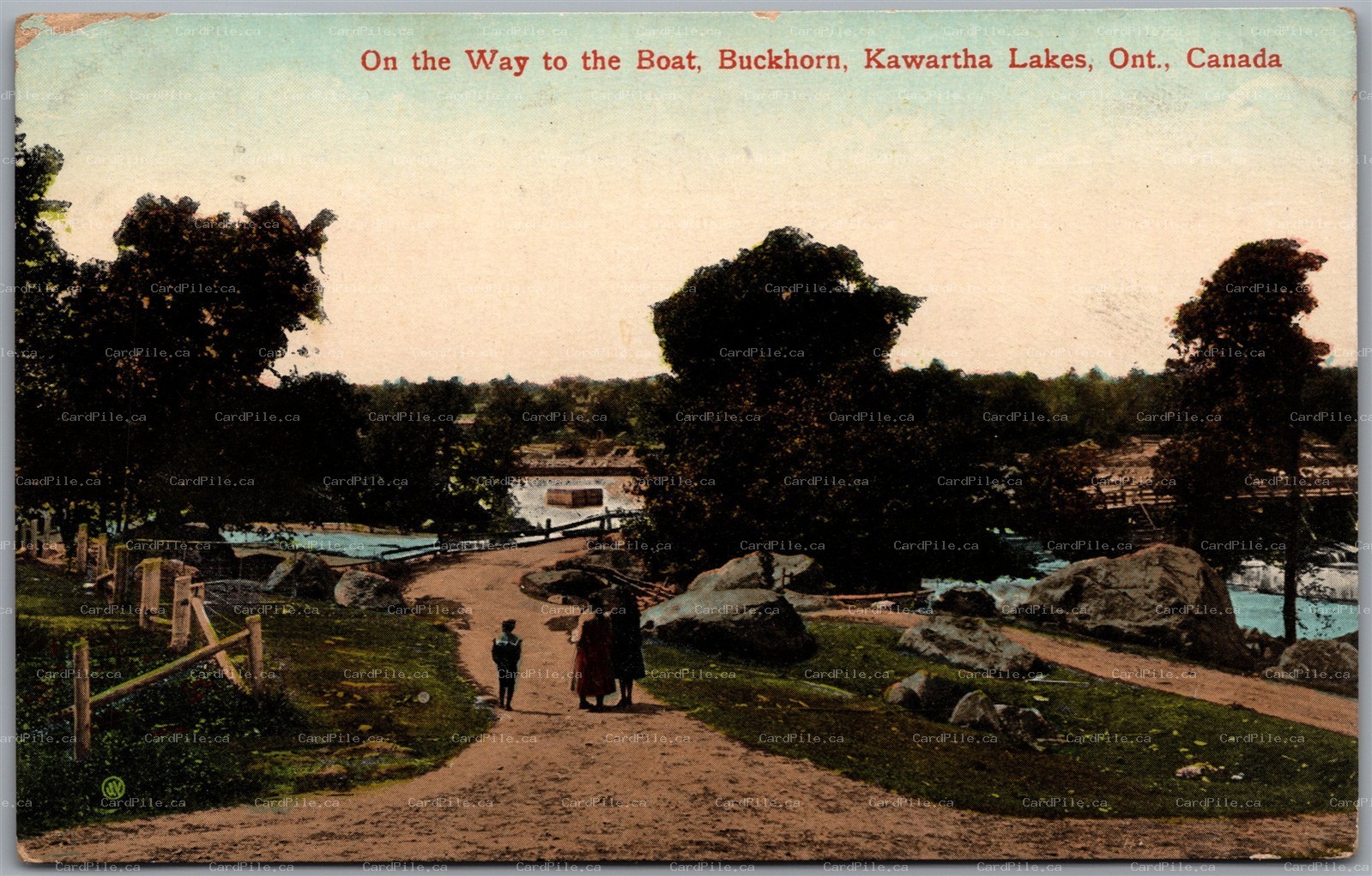 Postcard Buckhorn Kawartha Lakes Ontario 1915 On the Way to the Boat Scenic View
