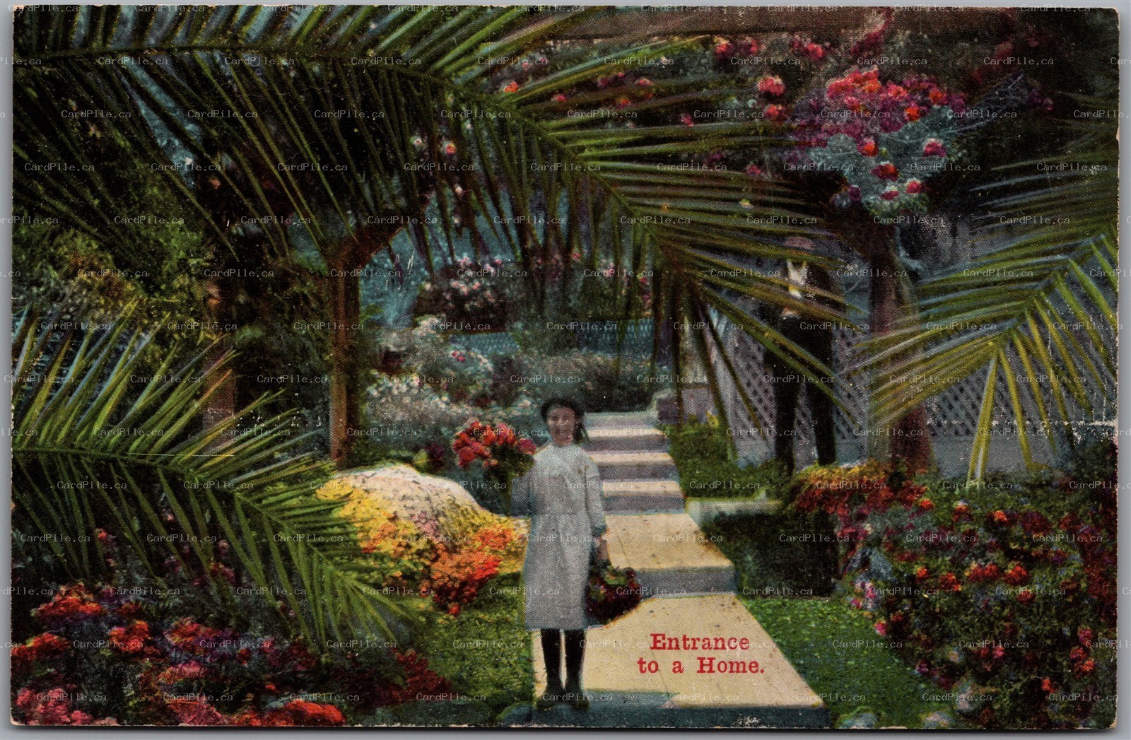 Postcard California c1910s Entrance to a Home Palms Pretty Garden View by Newman
