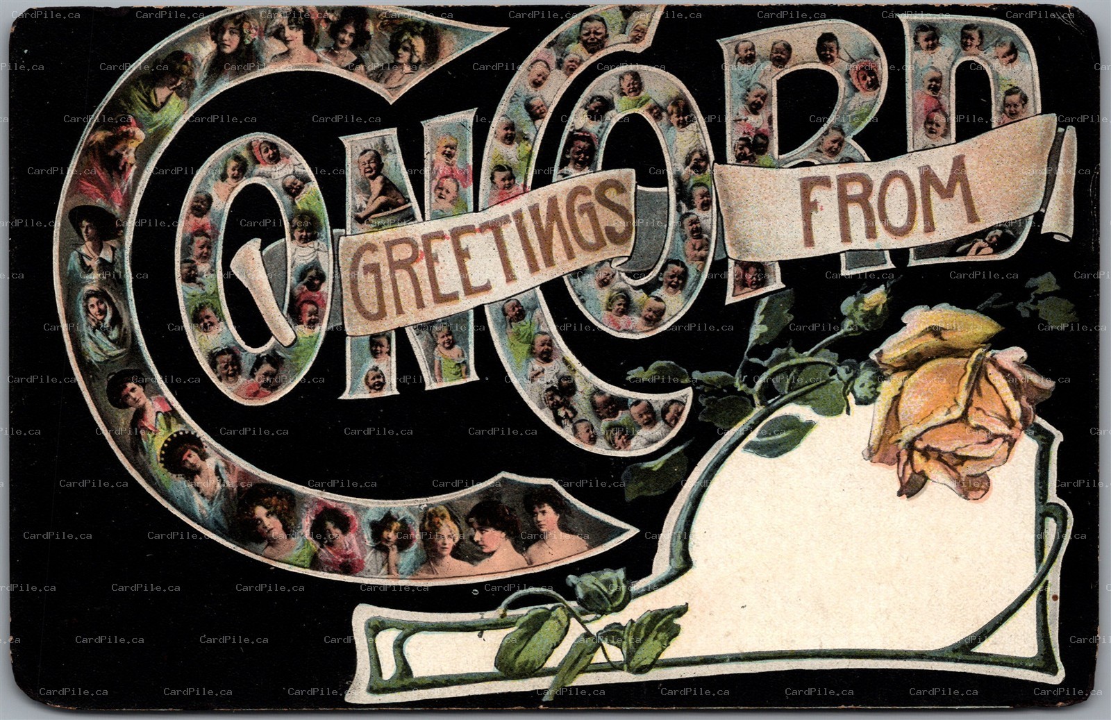 Postcard Large Letter Greetings from Concord Unused Many States Robbins Bros