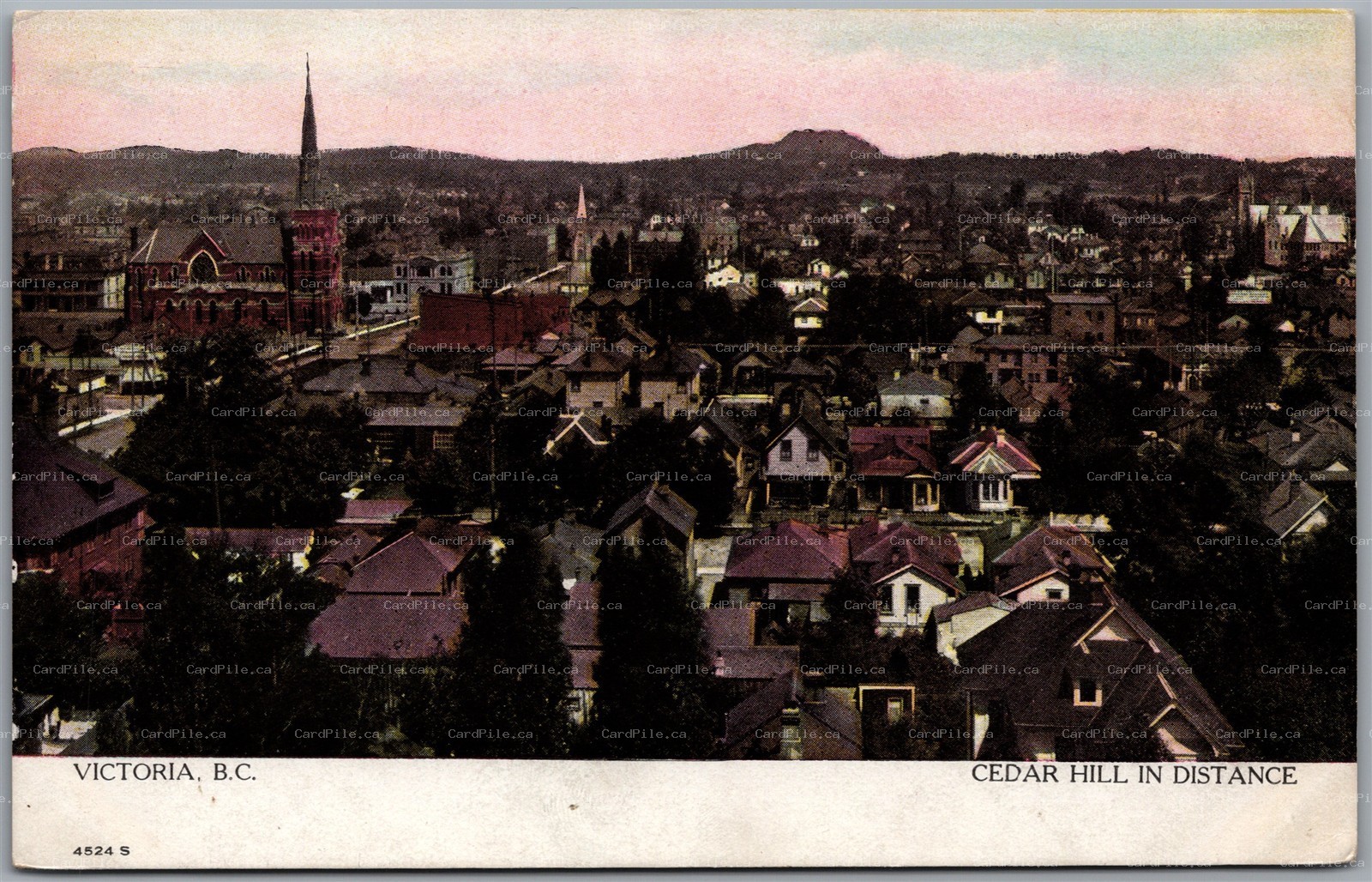 Postcard Victoria British Columbia c1910s Cedar Hill in Distance by Warwick