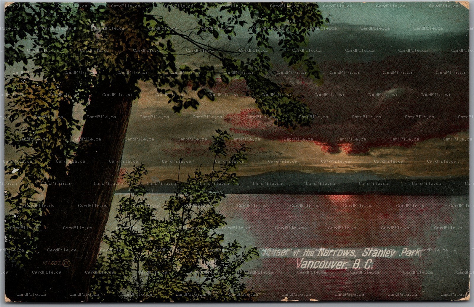 Postcard Vancouver British Columbia c1912 Sunset at the Narrows Stanley Park