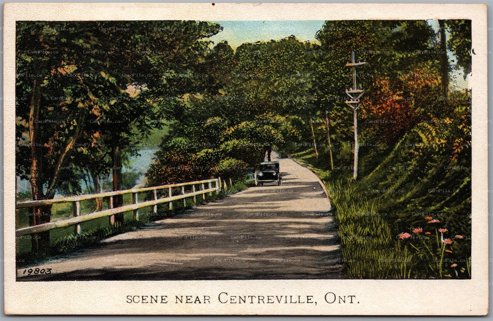 Postcard Centreville Ontario c1930s Scenic View 