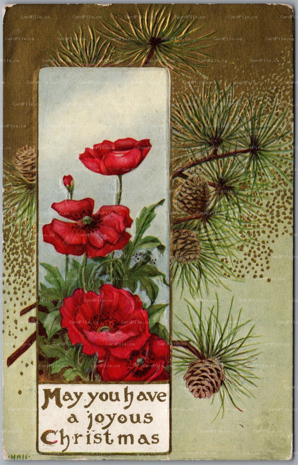 Postcard Split Ring Cancel c1911 Sauble Falls Ontario Christmas Greeting Poppies