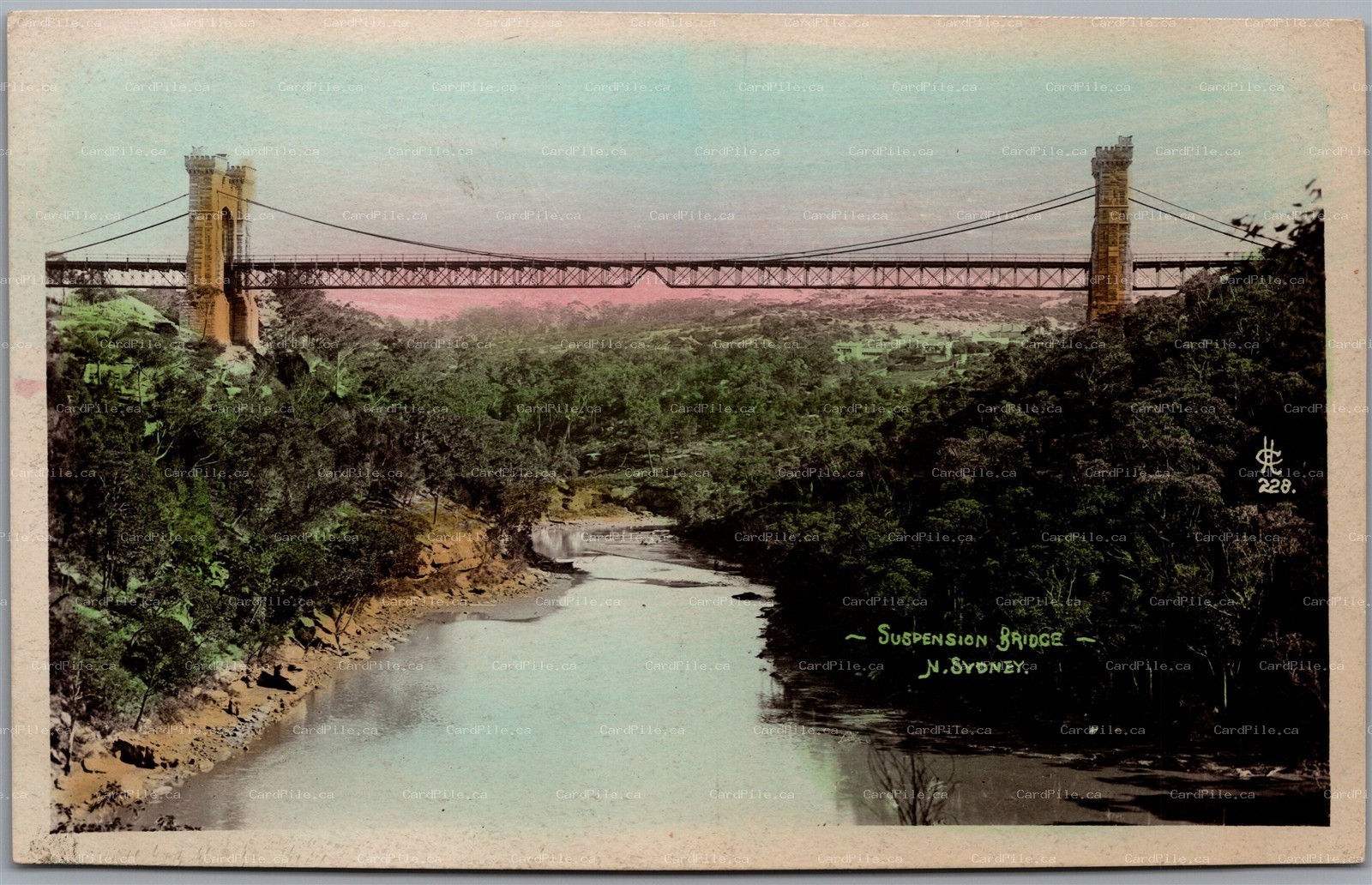 Postcard RPPC North Sydney New South Wales Suspension Bridge River Gorge