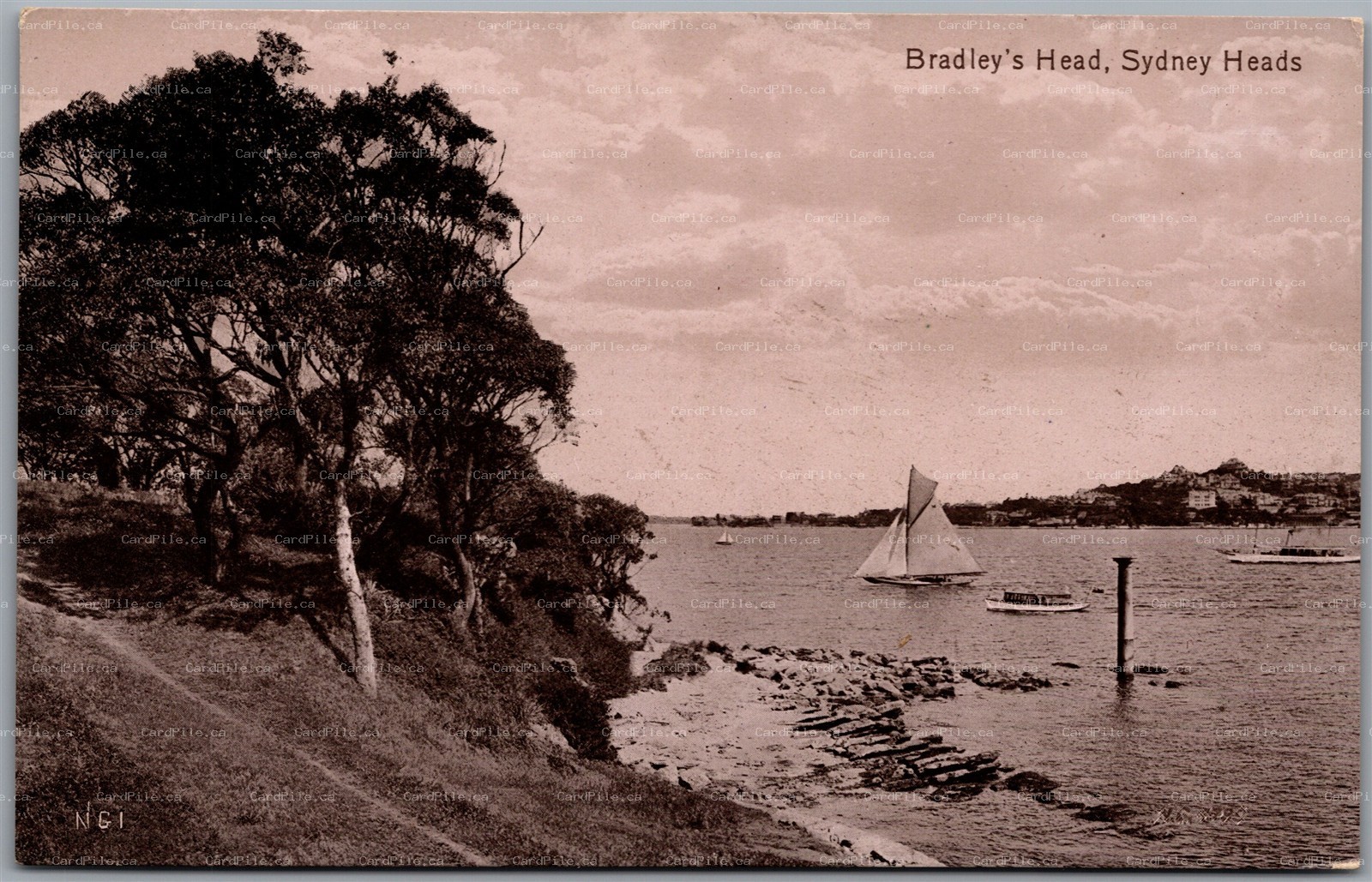 Postcard Sydney New South Wales Bradley's Head Harbour Sailing Valentine