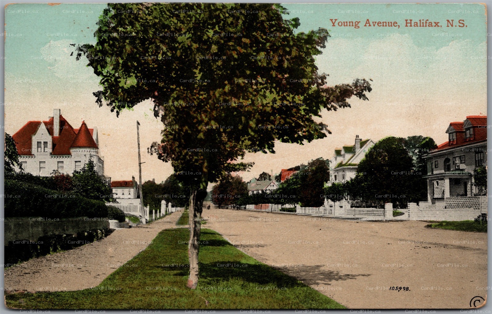 Postcard Halifax Nova Scotia c1911 Young Avenue Residential Street E P Charlton