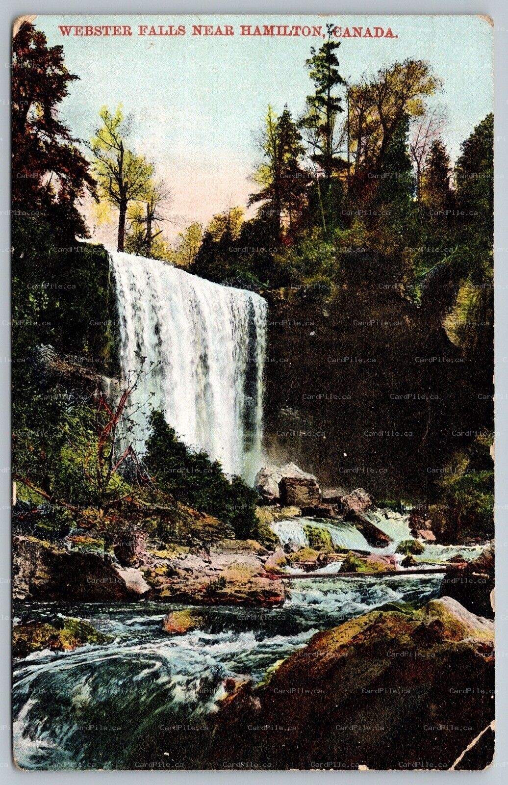 Postcard Hamilton Ontario c1910 Webster Falls