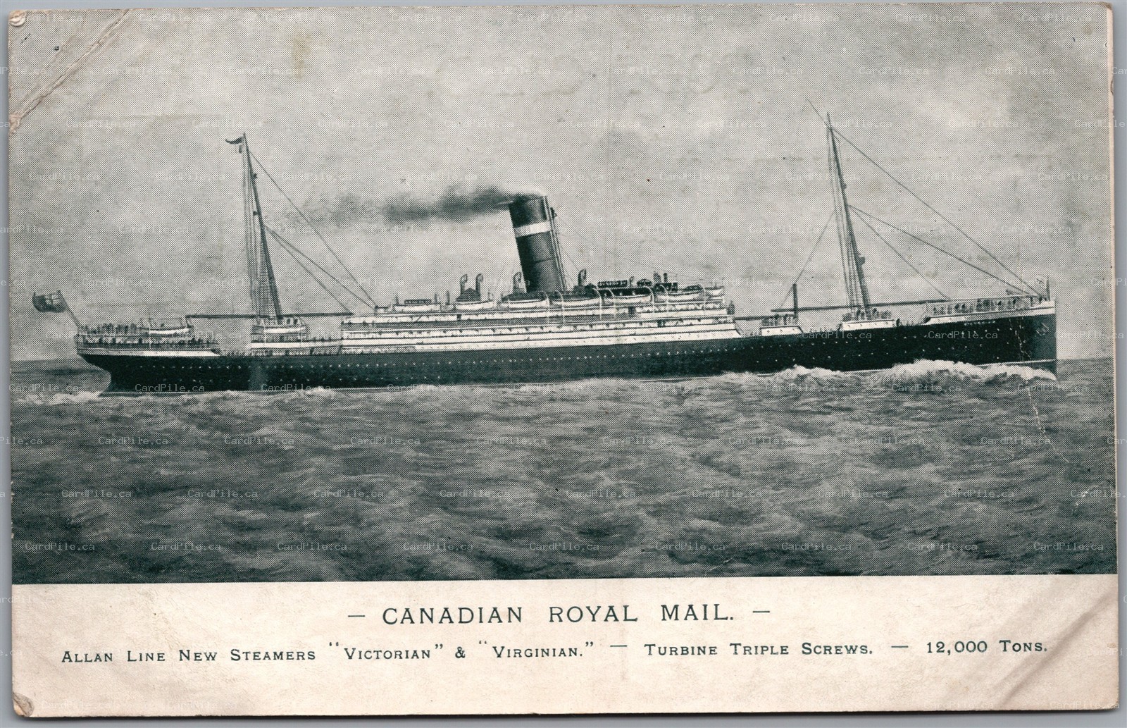 Postcard Allan Line SS Victorian and Virginian Canadian Royal Mail 12000 Tons