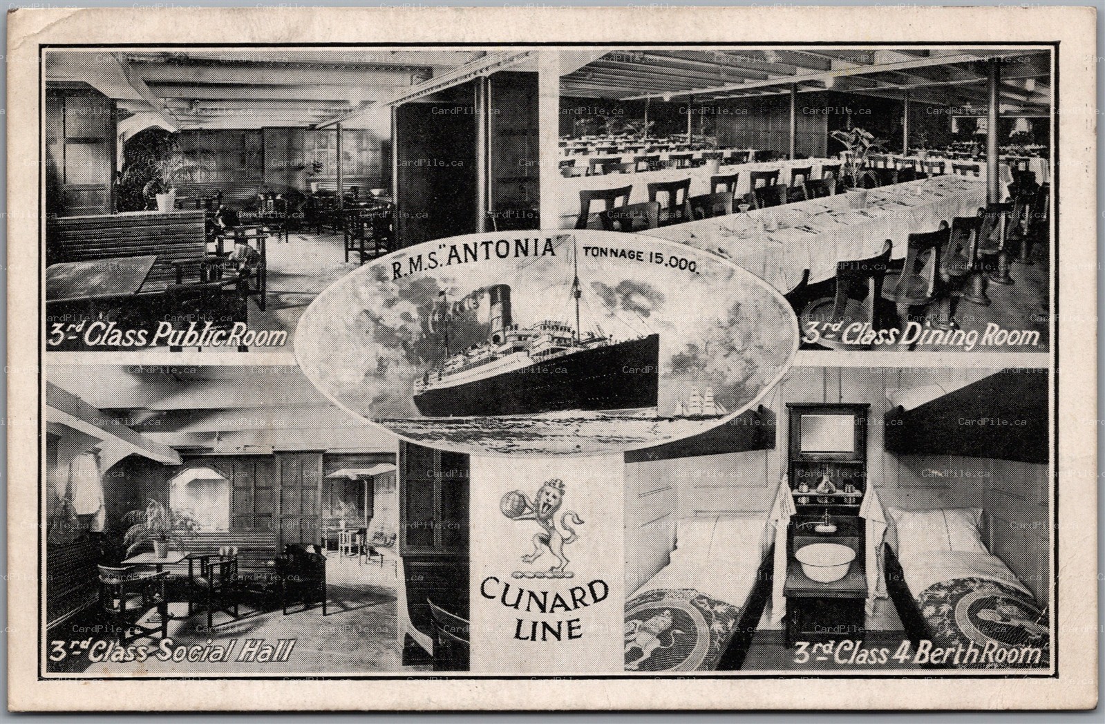 Postcard RMS Antonia Cunard Line Third Class Interior Berth Dining Public Rooms