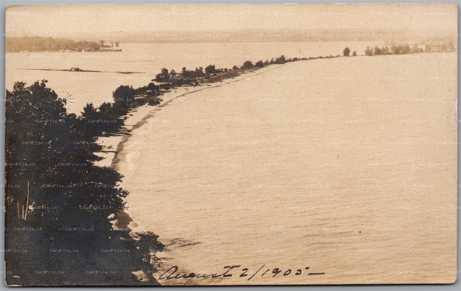Postcard RPPC 1905 Sodus Bay New York Crescent Beach from Lake Bluff Scenic View