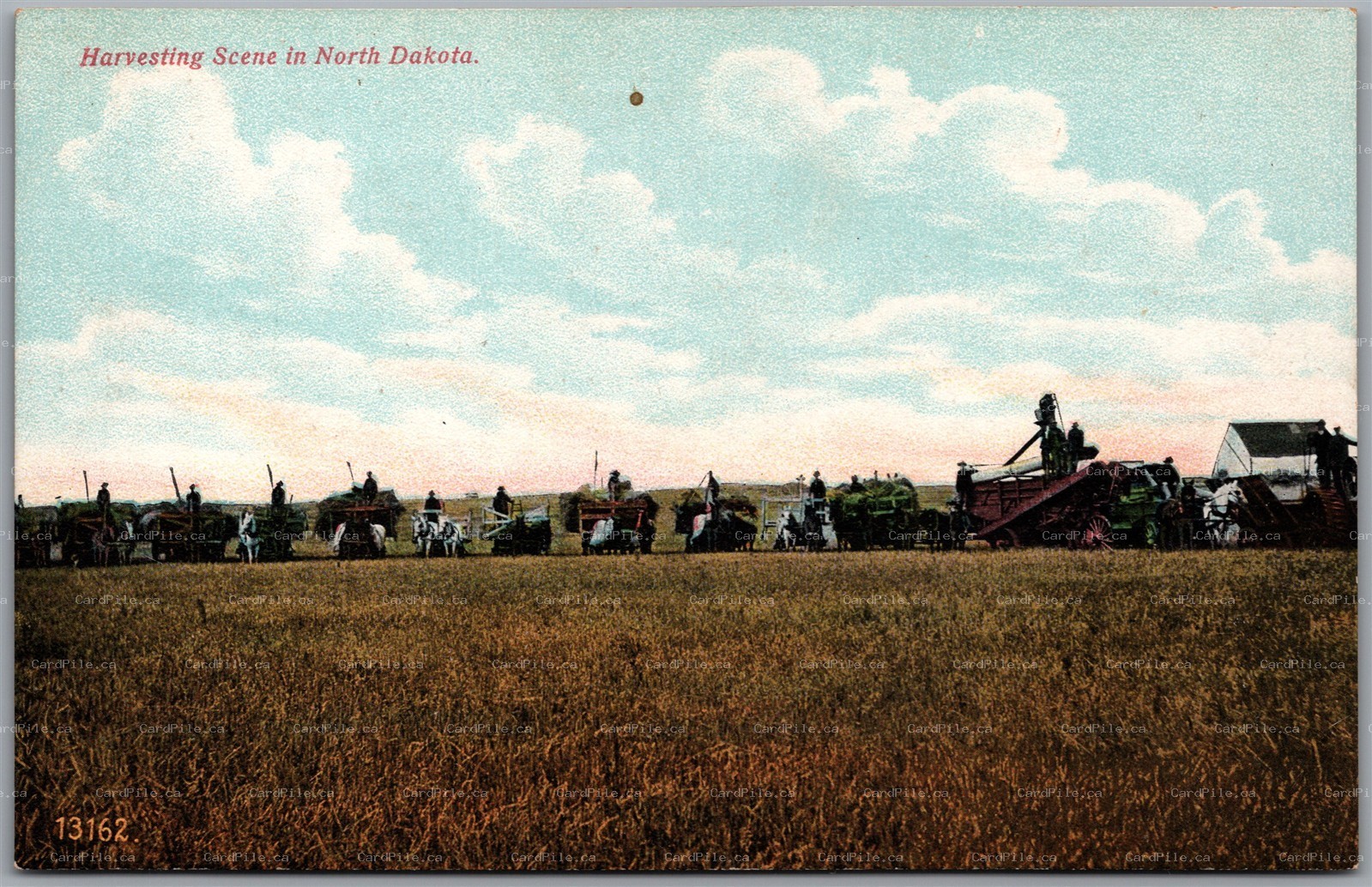 Postcard North Dakota c1910s Farming Harvesting Scene Horse-Drawn Threshing