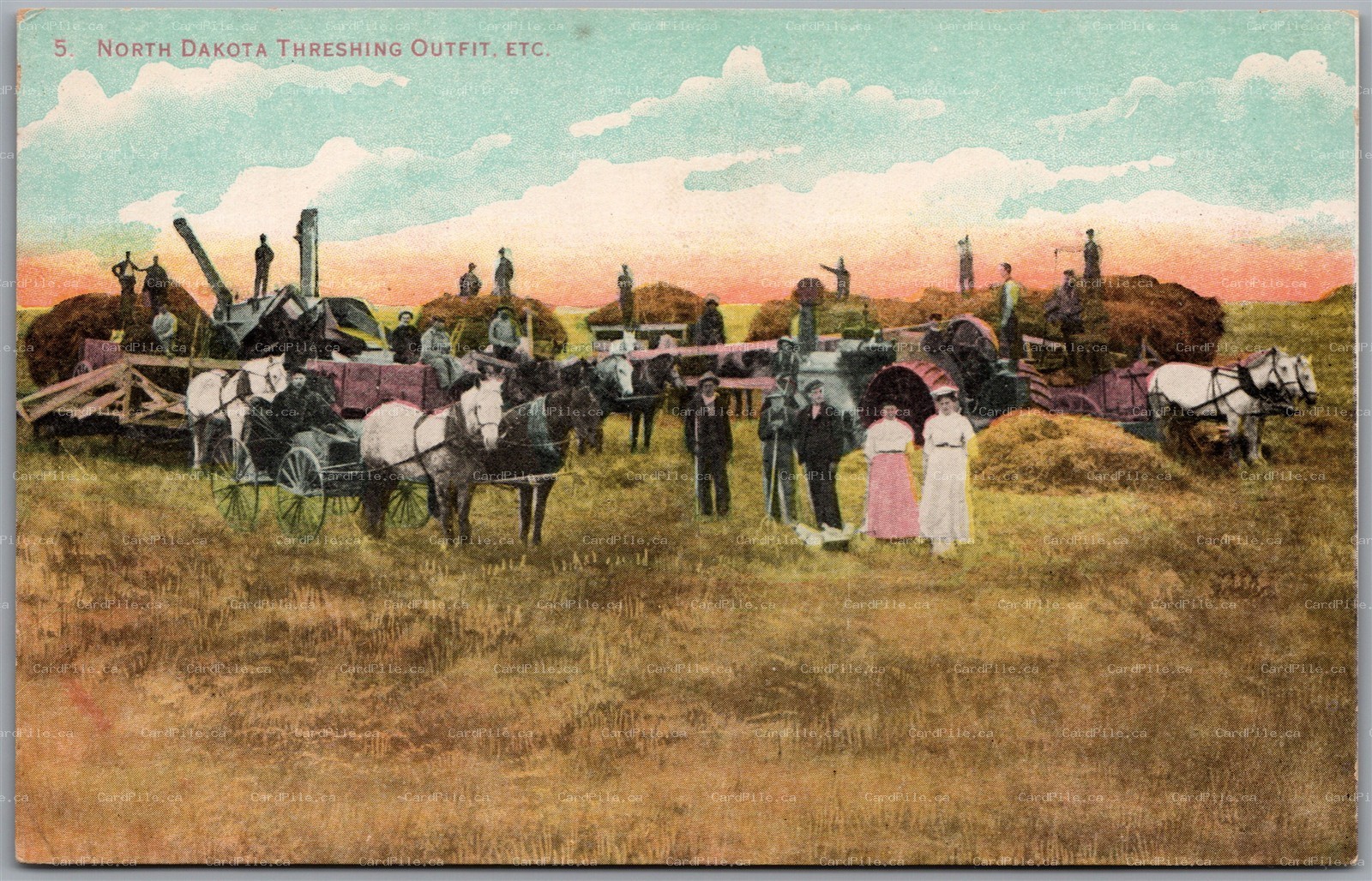Postcard North Dakota c1910s Farming Threshing Outfit Horse-Drawn Steam Engine