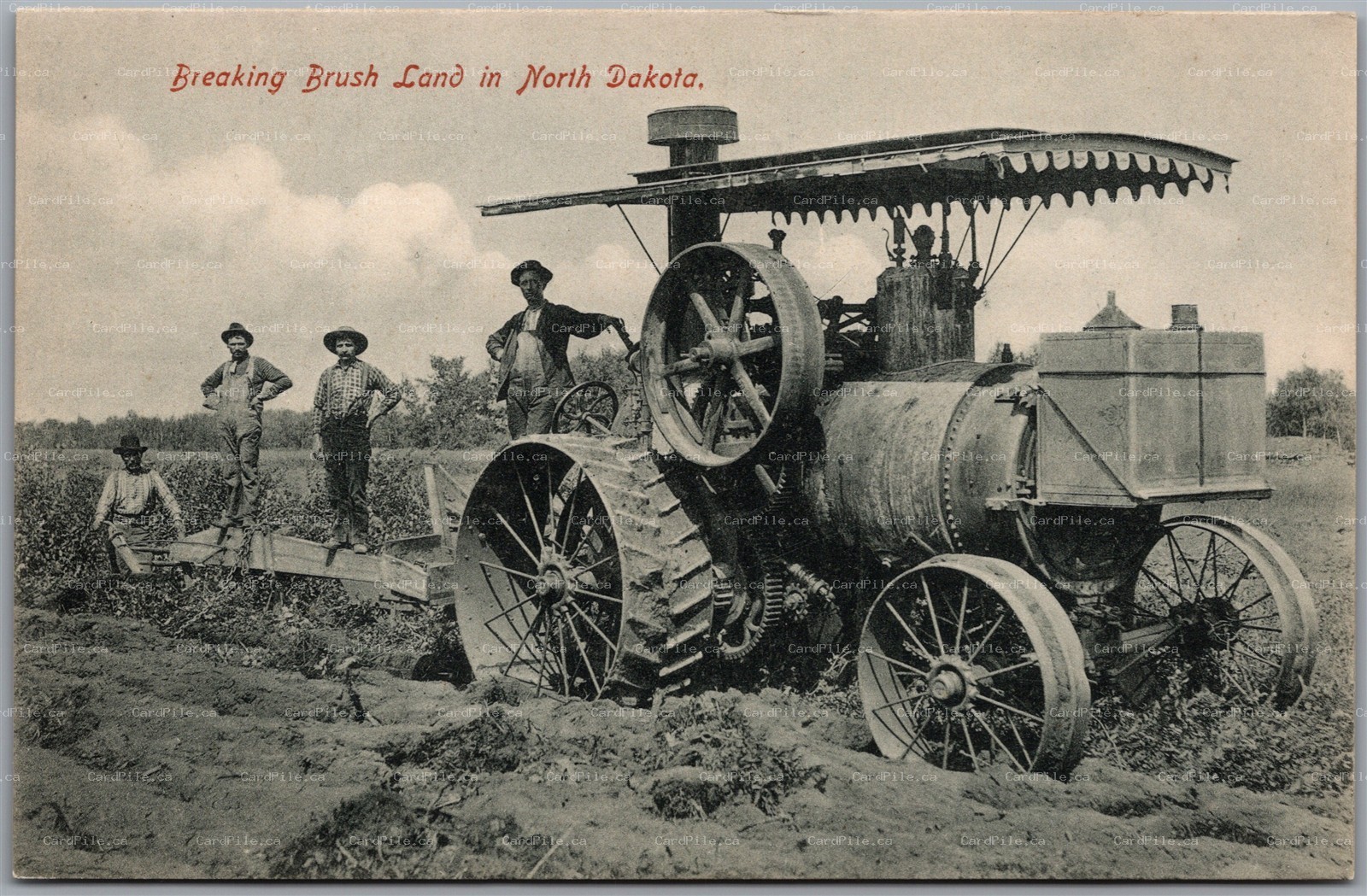 Postcard North Dakota c1910s Breaking Brush Land Steam Traction Engine Farming