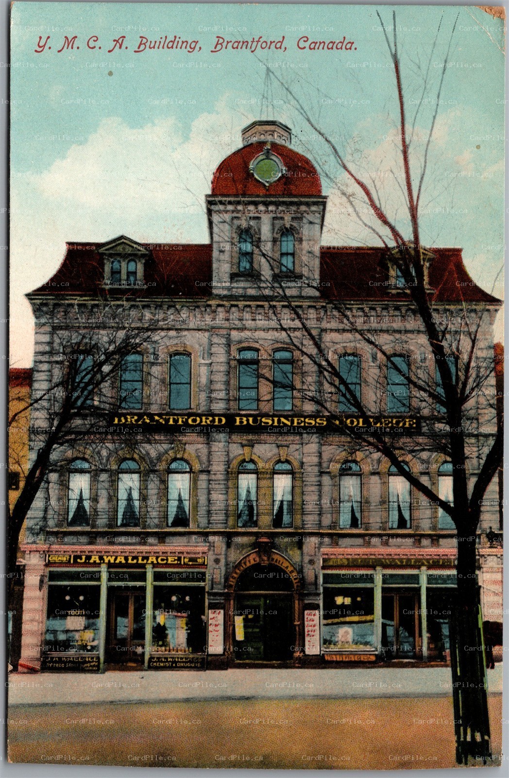 Postcard Brantford Ontario c1910s YMCA Building Business College by Stedman Bros
