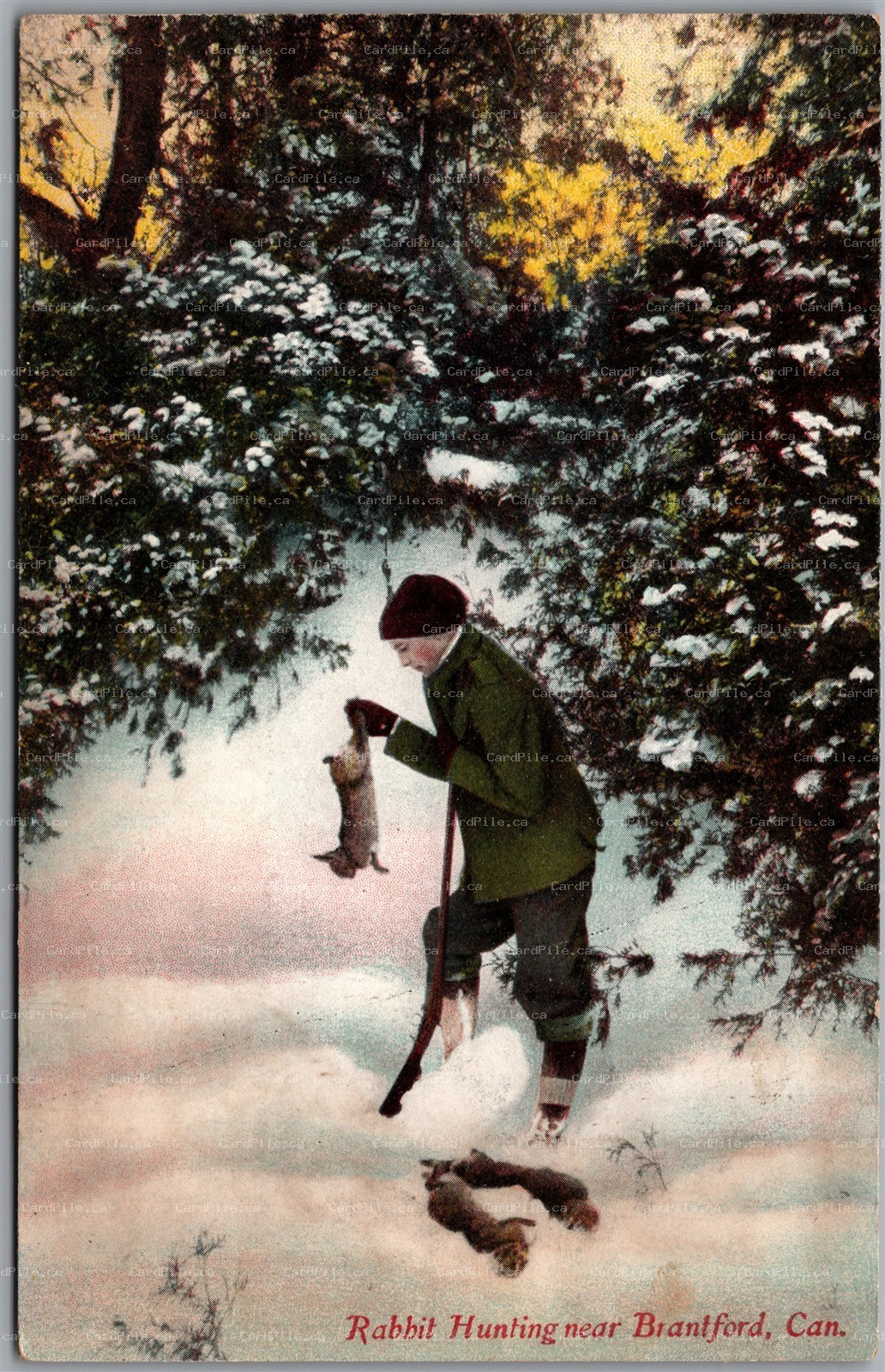 Postcard Brantford Ontario c1910s Rabbit Hunting Winter Scene by Stedman Bros.