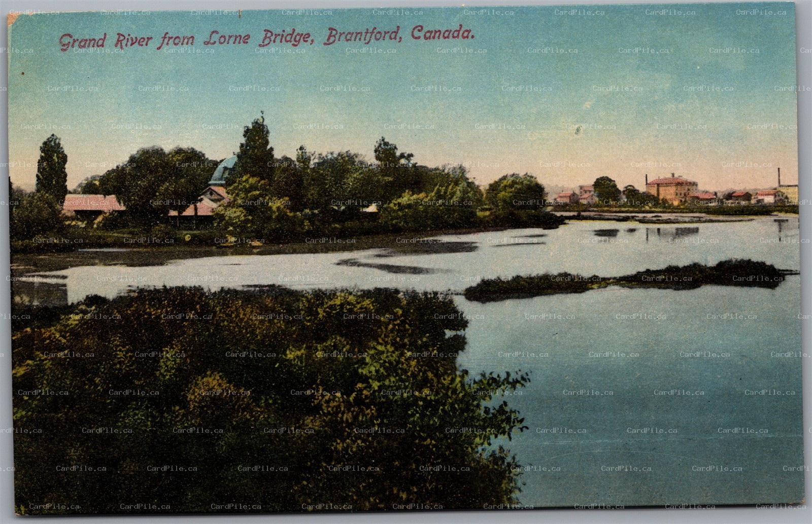 Postcard Brantford Ontario c1910s Grand River from Lorne Bridge by Stedman Bros.
