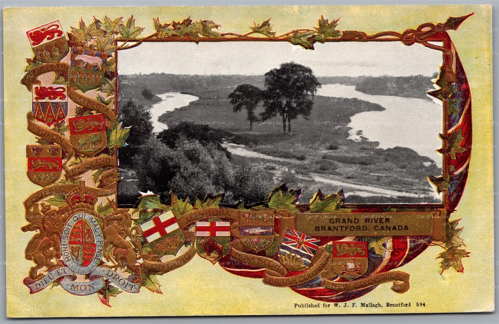 Postcard Brantford Ontario Grand River Patriotic Provincial Crests Border