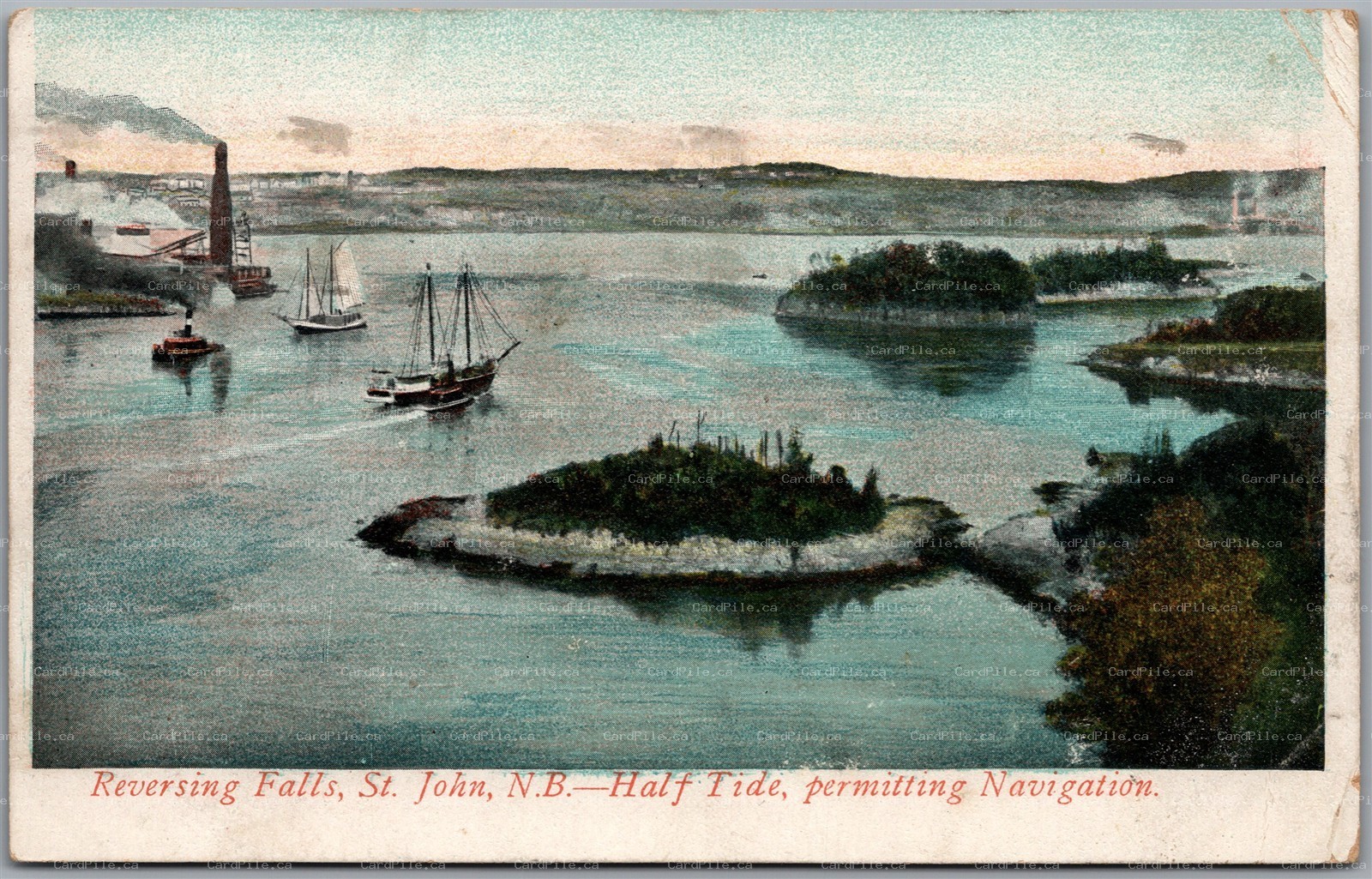 Postcard Saint John New Brunswick c1906 Reversing Falls Half Tide Navigation