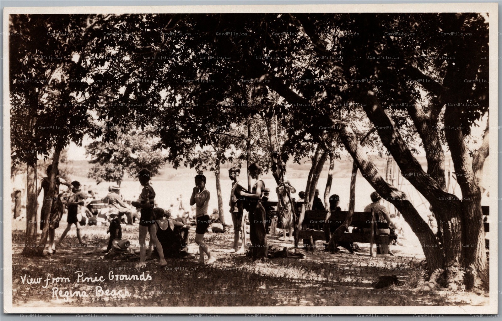 Postcard RPPC Regina Beach Saskatchewan Picnic Grounds Beach Scene Rex Photo