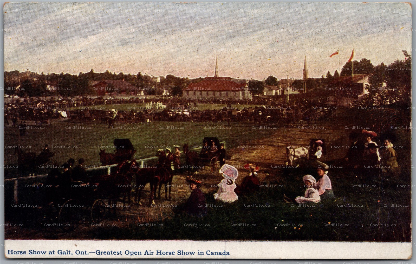 Postcard Galt Ontario c1906 Greatest Open Air Horse Show Canada Carriages Crowd