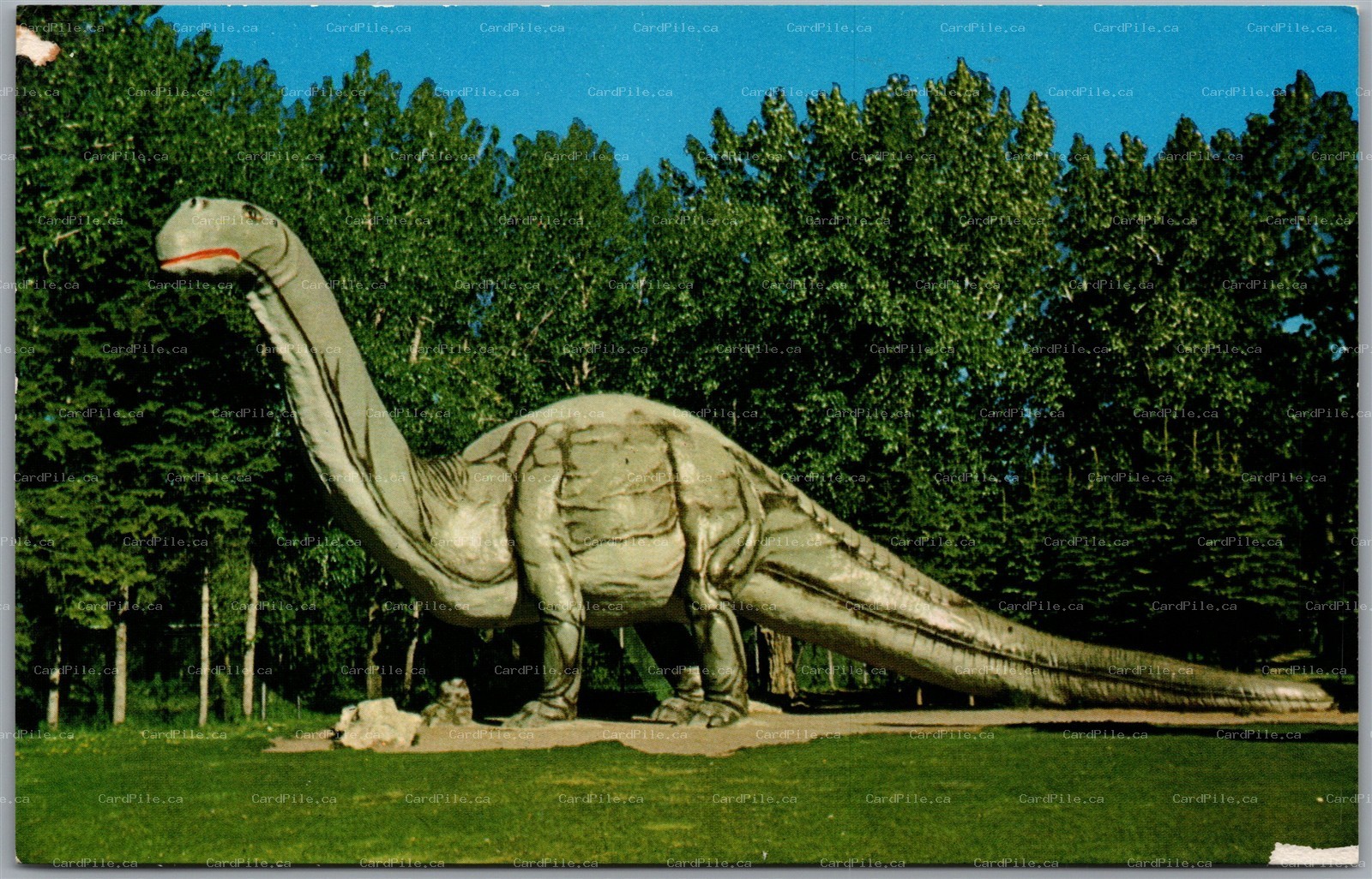 Postcard Calgary Alberta Zoo Dinosaur Park Dinny the Dinosaur Brontosaurus