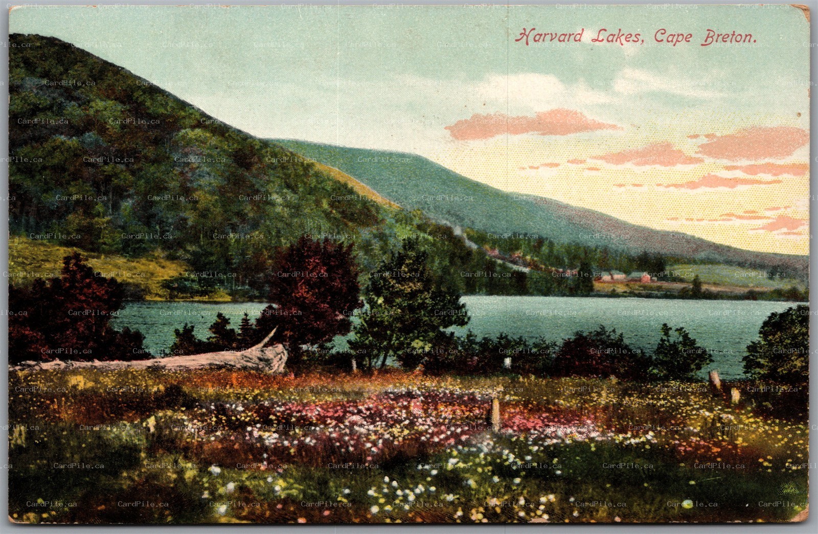 Postcard Cape Breton Nova Scotia c1910s Harvard Lakes Scenic View Stedman Bros.