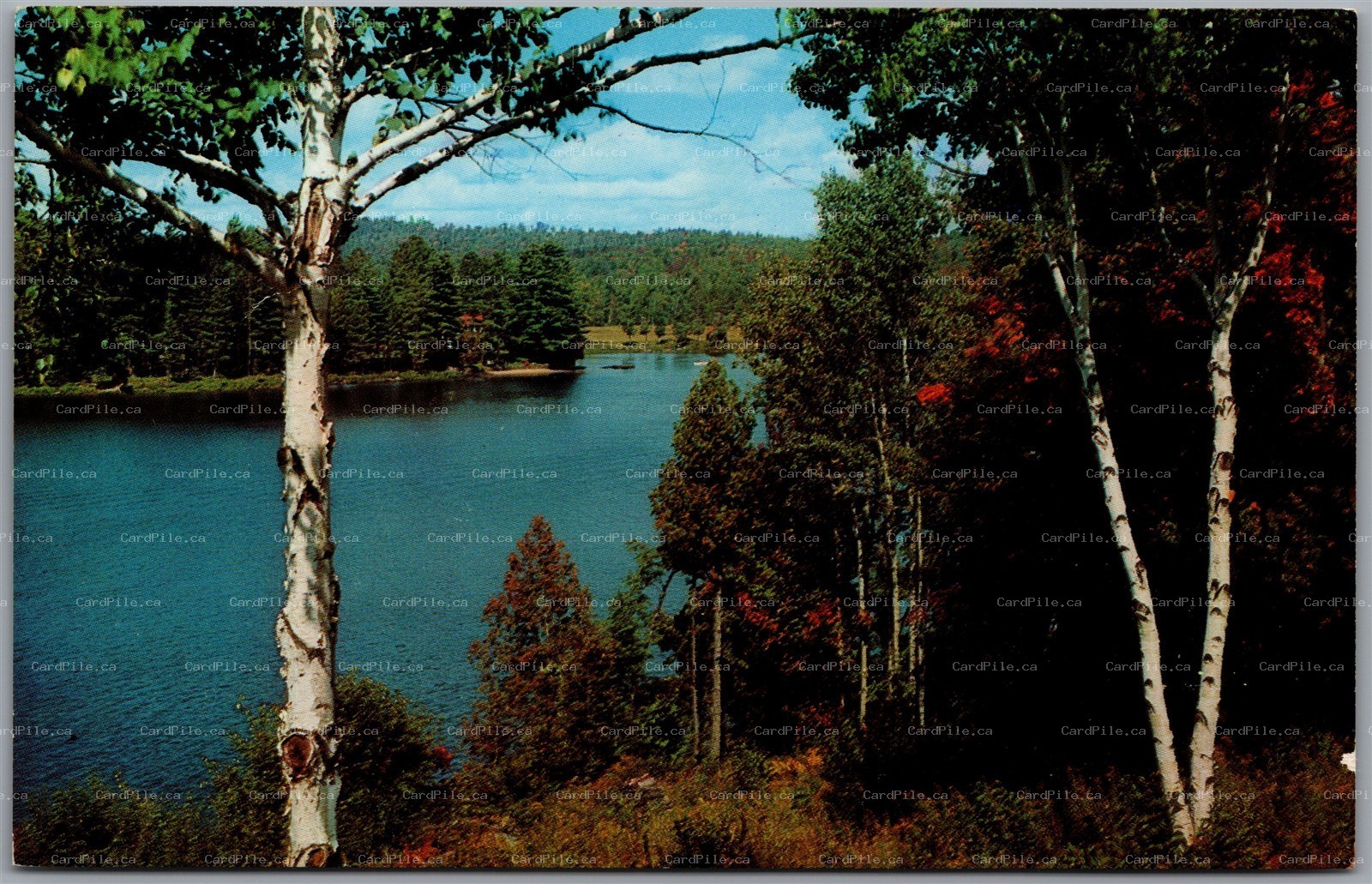 Postcard Vanderhoof British Columbia Crystal Clear Lake Scenic View