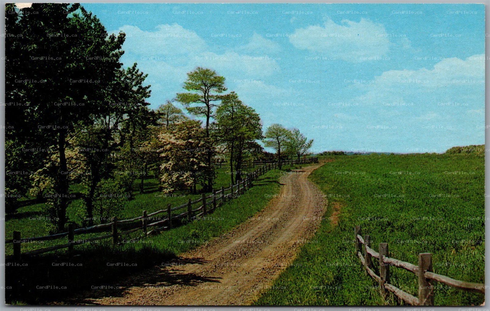 Postcard Vanderhoof British Columbia Spring Winding Country Road Scenic View