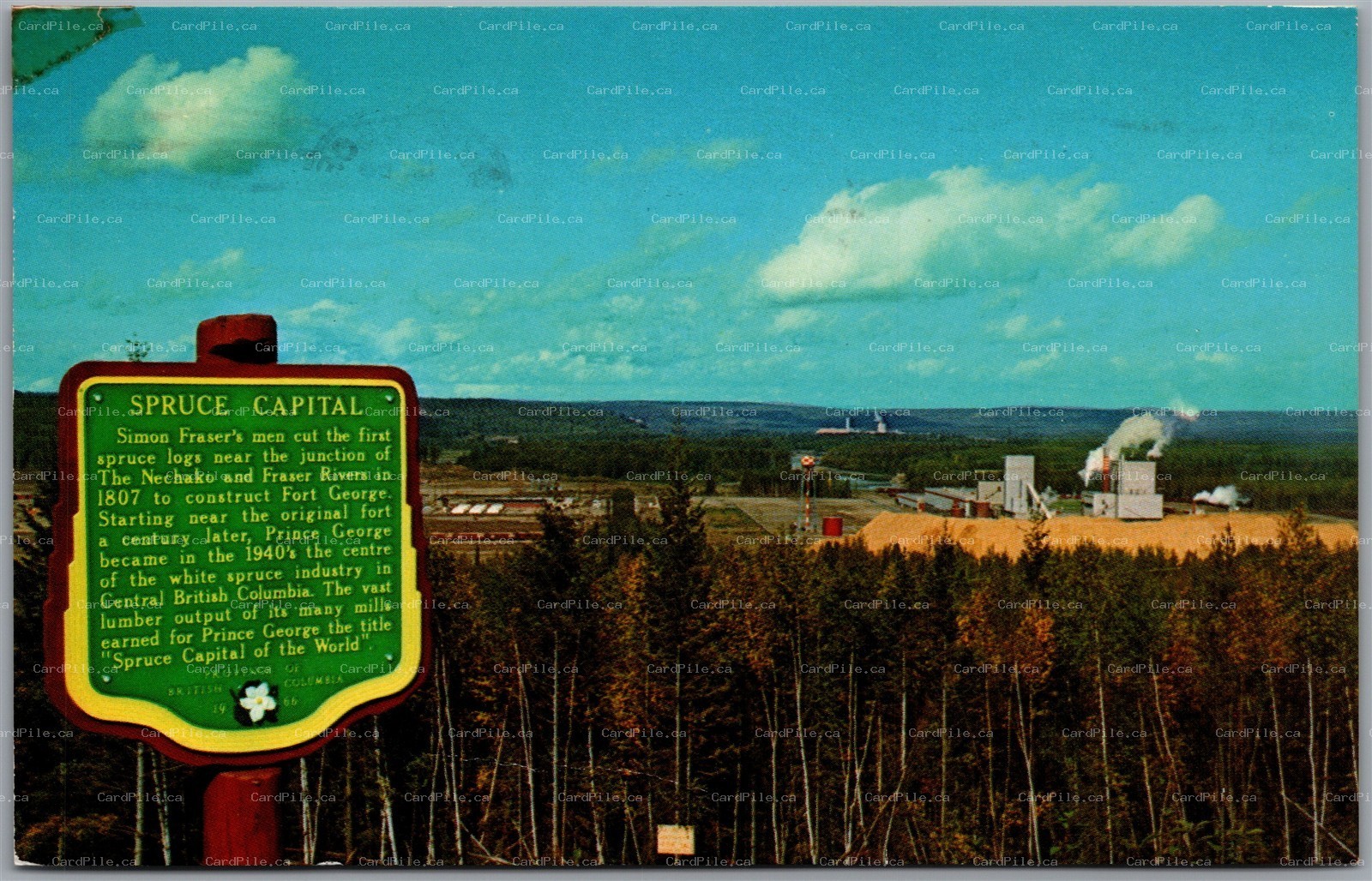 Postcard Prince George British Columbia c1966 Spruce Capital Mills Scenic View